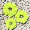 Κίτρινο Φωσφοριζέ Scrunchies
